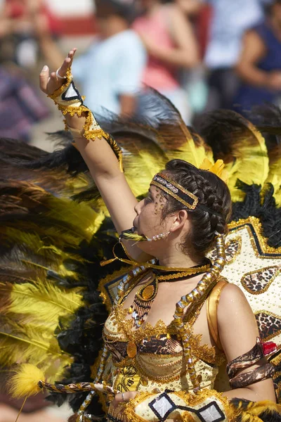 Arica Chili Februari 2017 Tobas Danser Sierlijke Kostuum Tijdens Het — Stockfoto