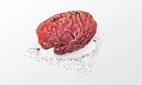 Big brain — Stock Photo, Image