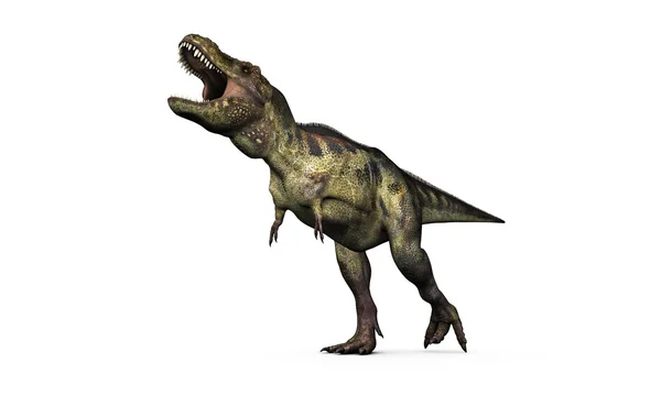 Tyranozaur — Zdjęcie stockowe