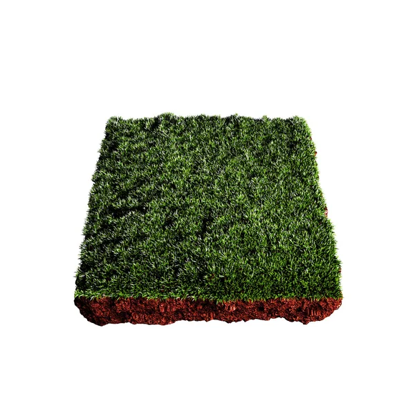 Piece of grass — Stock Photo, Image