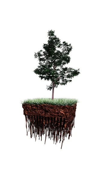 Tree on a piece of soil — Stock Photo, Image