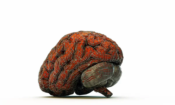Mozek v kleci — Stock fotografie