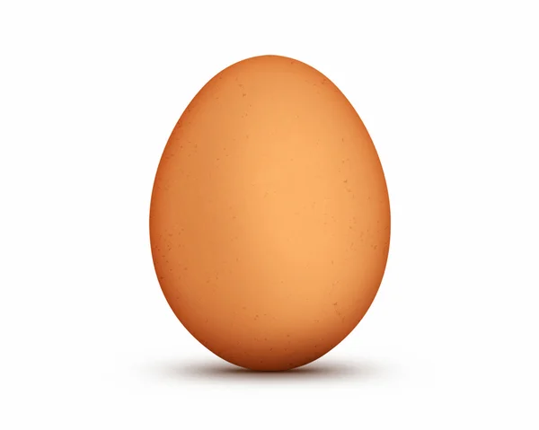 암 탉의 계란 — 스톡 사진