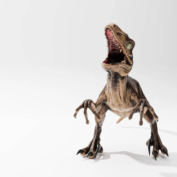 Velociraptor Geïsoleerd Witte Achtergrond Illustratie — Stockfoto