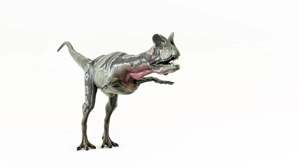 Dinosaurio Aislado Sobre Fondo Blanco Ilustración — Foto de Stock