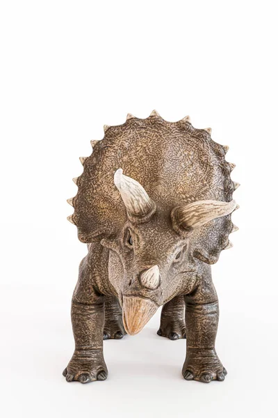 Triceratopos Izolowane Białym Tle Ilustracja — Zdjęcie stockowe