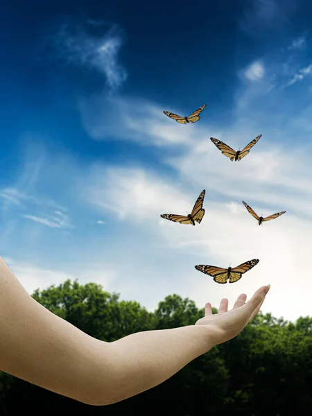 Schmetterlinge Fliegen Über Eine Hand Illustration — Stockfoto