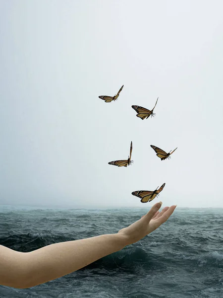Fjärilar Flyger Över Hand Illustration — Stockfoto
