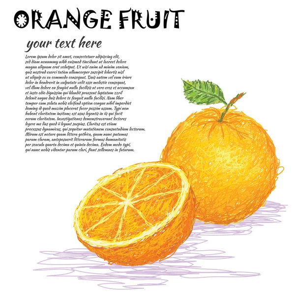 Orangenfrucht — Stockvektor