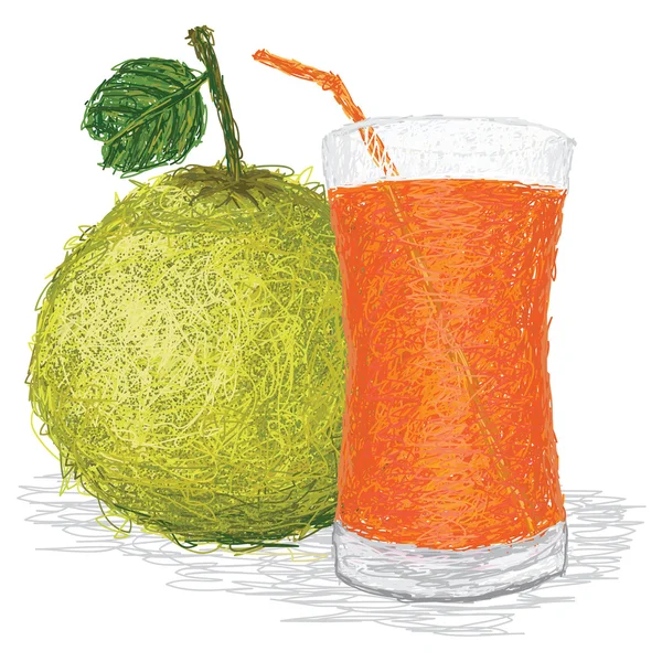 沙田柚汁 — 图库矢量图片