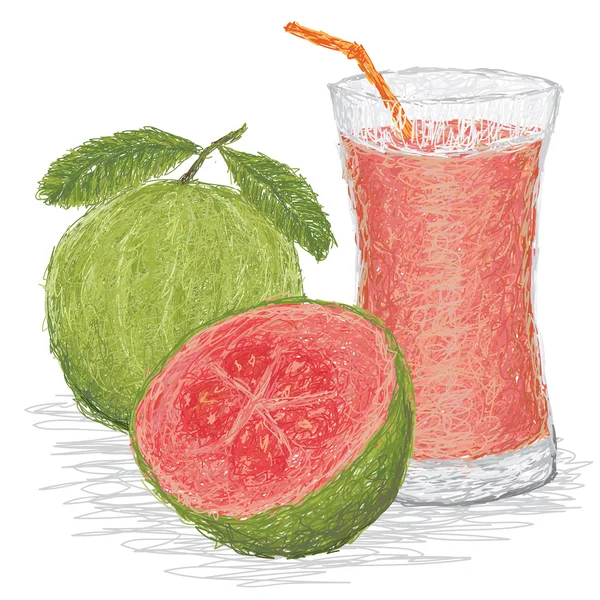 Succo di guava — Vettoriale Stock