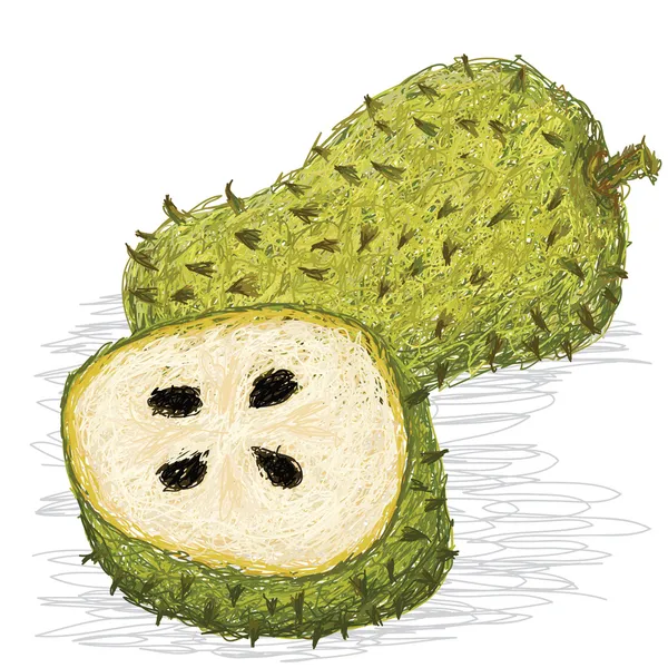 Soursop gyümölcs — Stock Vector