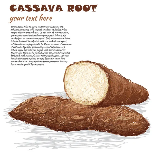 Cassava — Stock Illustration Cassava Stock Illustration