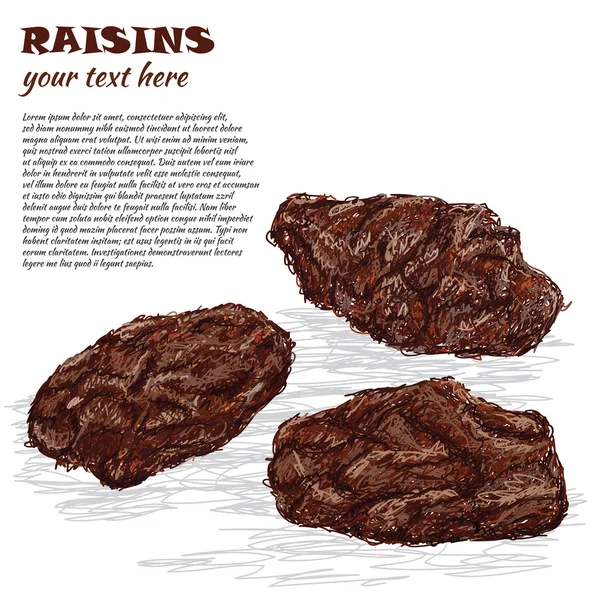 Raisins — Stock Vector