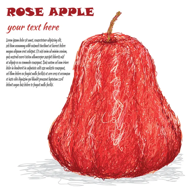 Rose jabłko — Wektor stockowy