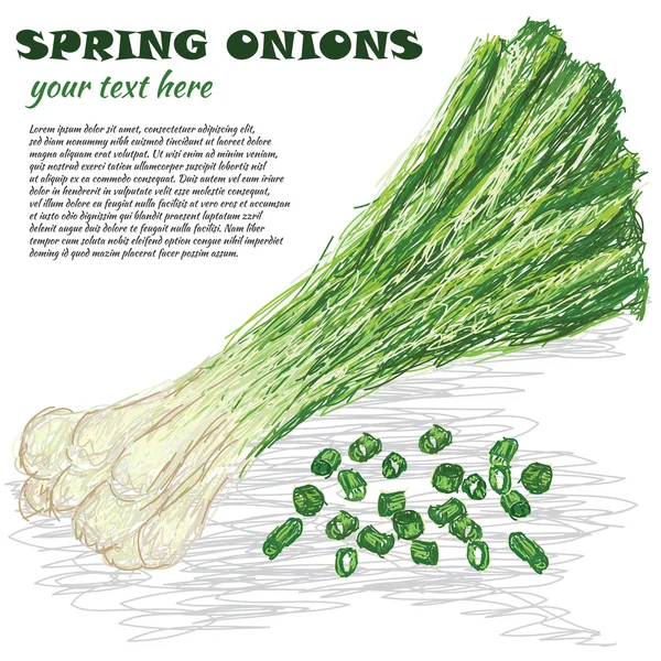 Spring onions — Stock Vector
