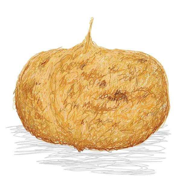 Jicama. — Vector de stock