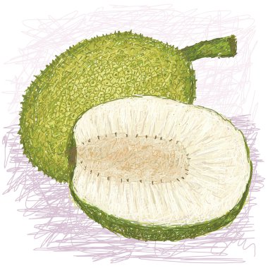 meyveler kaba tenli çeşitli tam ve yarım dilimlenmiş