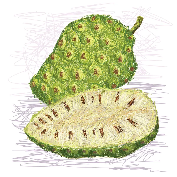 Sección transversal de la fruta noni — Vector de stock