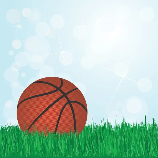 Baloncesto sobre hierba — Vector de stock