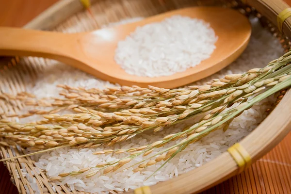 El arroz, la cuchara en una cesta de bambú —  Fotos de Stock