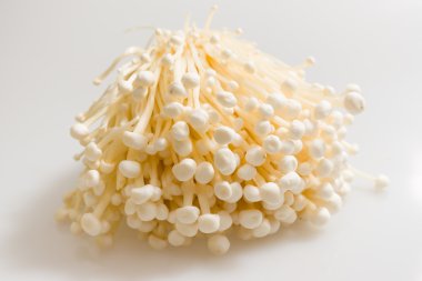 Enoki mantarı.