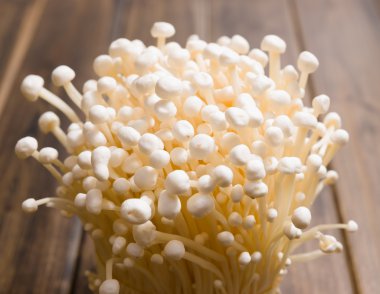 Enoki mantarı.