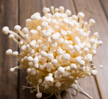 Enoki mantarı.