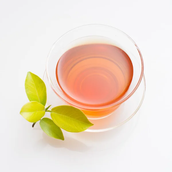 Tee auf weißem Hintergrund — Stockfoto