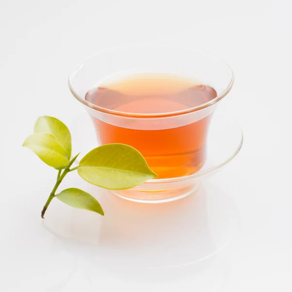 Чай на белом фоне — стоковое фото