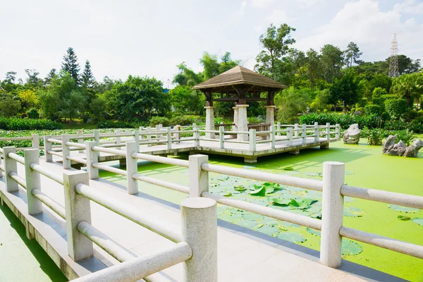 Chinese pavilion above the lotus pond — Stock Photo, Image