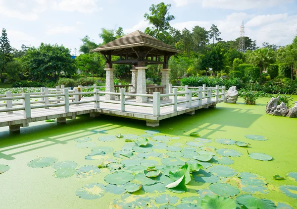 Chinese pavilion above the lotus pond — Stock Photo, Image