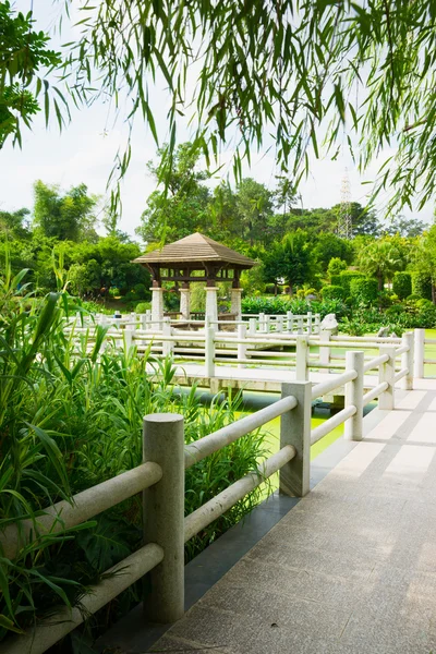 Čínský pavilon nad lotus rybník — Stock fotografie
