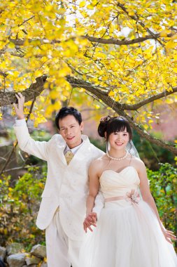 mutluluk damat ve gelin