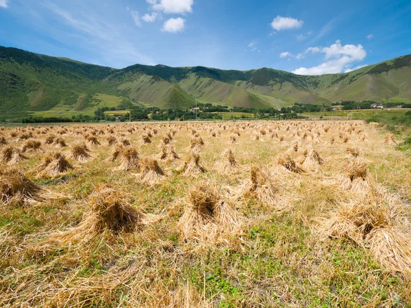 Pajar en una tierra de cultivo — Foto de Stock