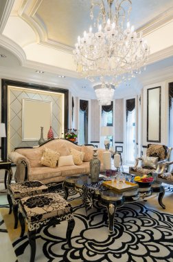 Lüks oturma odası.