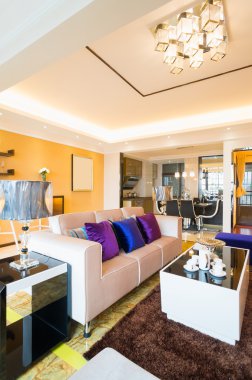 modern oturma odası