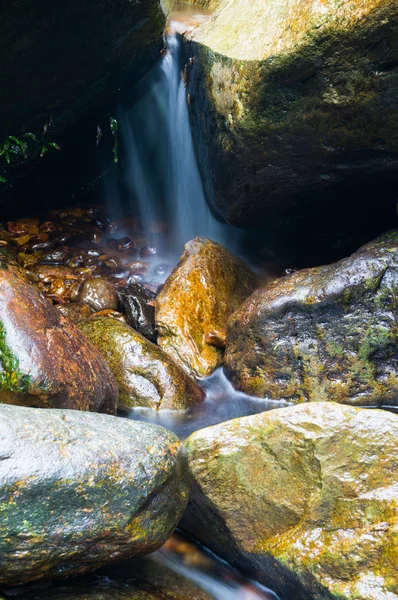 stock image mountain stream