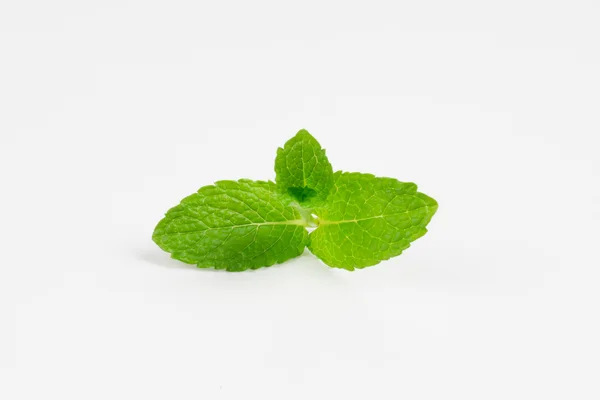 Mint — Stock Photo, Image