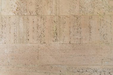 Kabuklu taş karolarla kaplı desenli duvar..