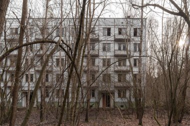 Abandoned tree-lined yard of Chernobyl 2. Chernobyl, Ukraine.