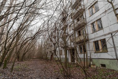 Abandoned tree-lined yard of Chernobyl 2. Chernobyl, Ukraine.