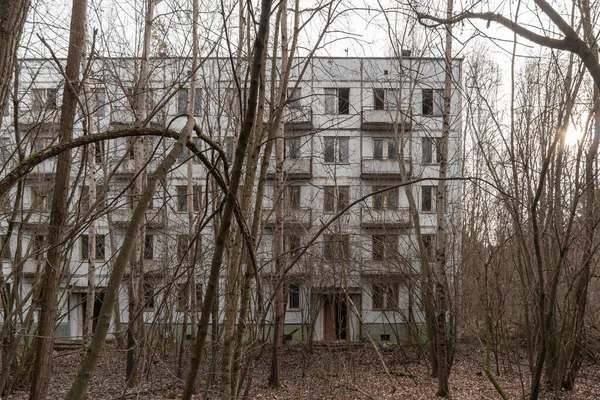 Abandoned Tree Lined Yard Chernobyl Chernobyl Ukraine — Stock Photo, Image