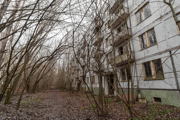 Abandoned Tree Lined Yard Chernobyl Chernobyl Ukraine — Stok fotoğraf