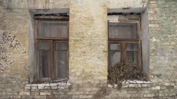 Два Окна Стене Старого Заброшенного Кирпичного Дома Века Текстурированные — стоковое видео