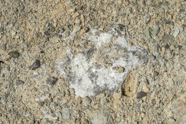 Roher Quarzkristall Einem Steinbruch Nahaufnahme Rohquarz Der Mine — Stockfoto