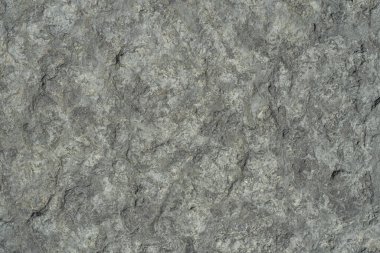 Çiğ, koyu gri kireç taşı yakın plan, desenli..