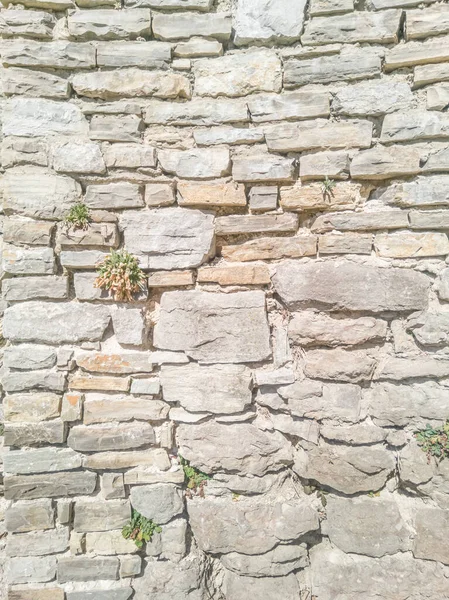 Середньовічна Кам Яна Стіна Вапняку Текстурована — стокове фото