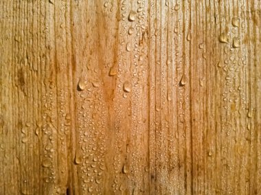 Sabah çiğ damlalarıyla desenli ahşap tahta..