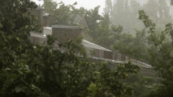 Heavy Rain Pours Roof Old House Forest — Vídeo de stock